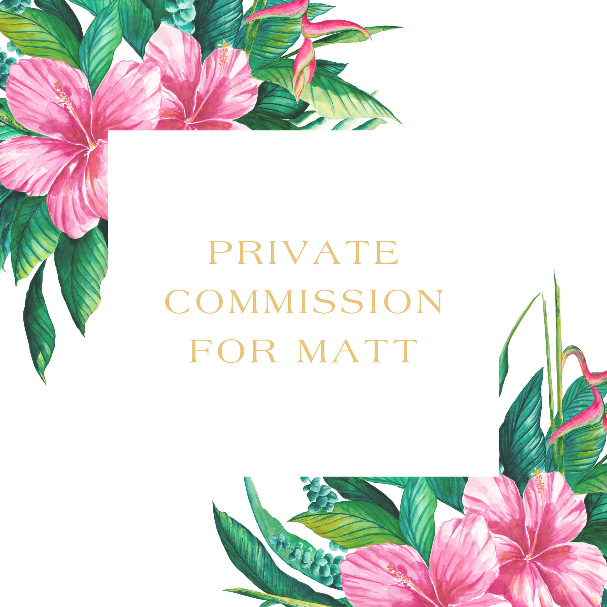 Private commission for matt -x  -.png