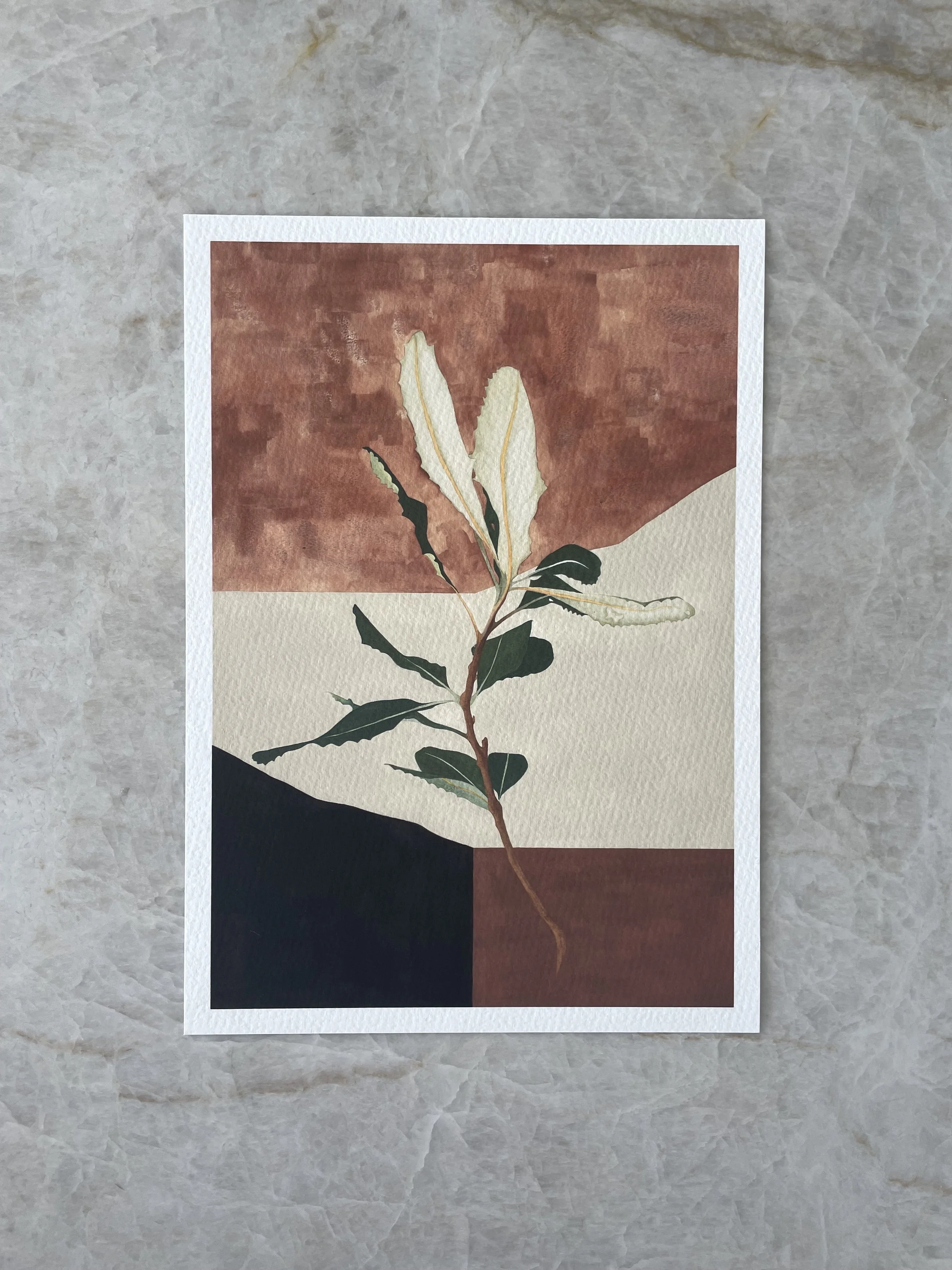 Banksia Folding 'III'