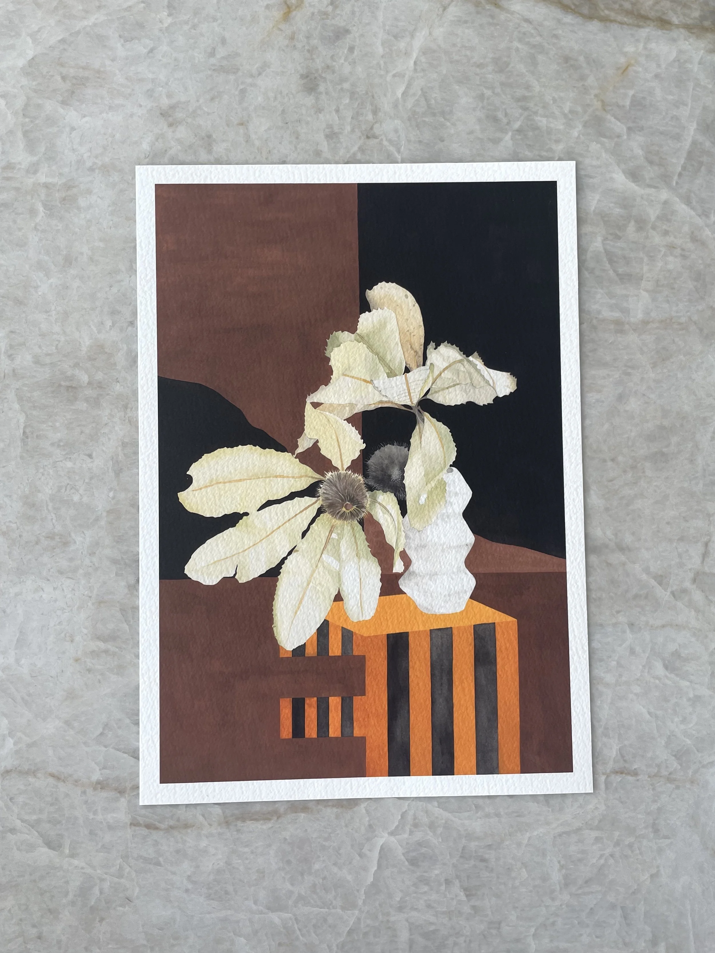 Banksia Folding 'II'