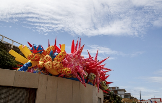 Pro Print Article - Sculptures by the Sea