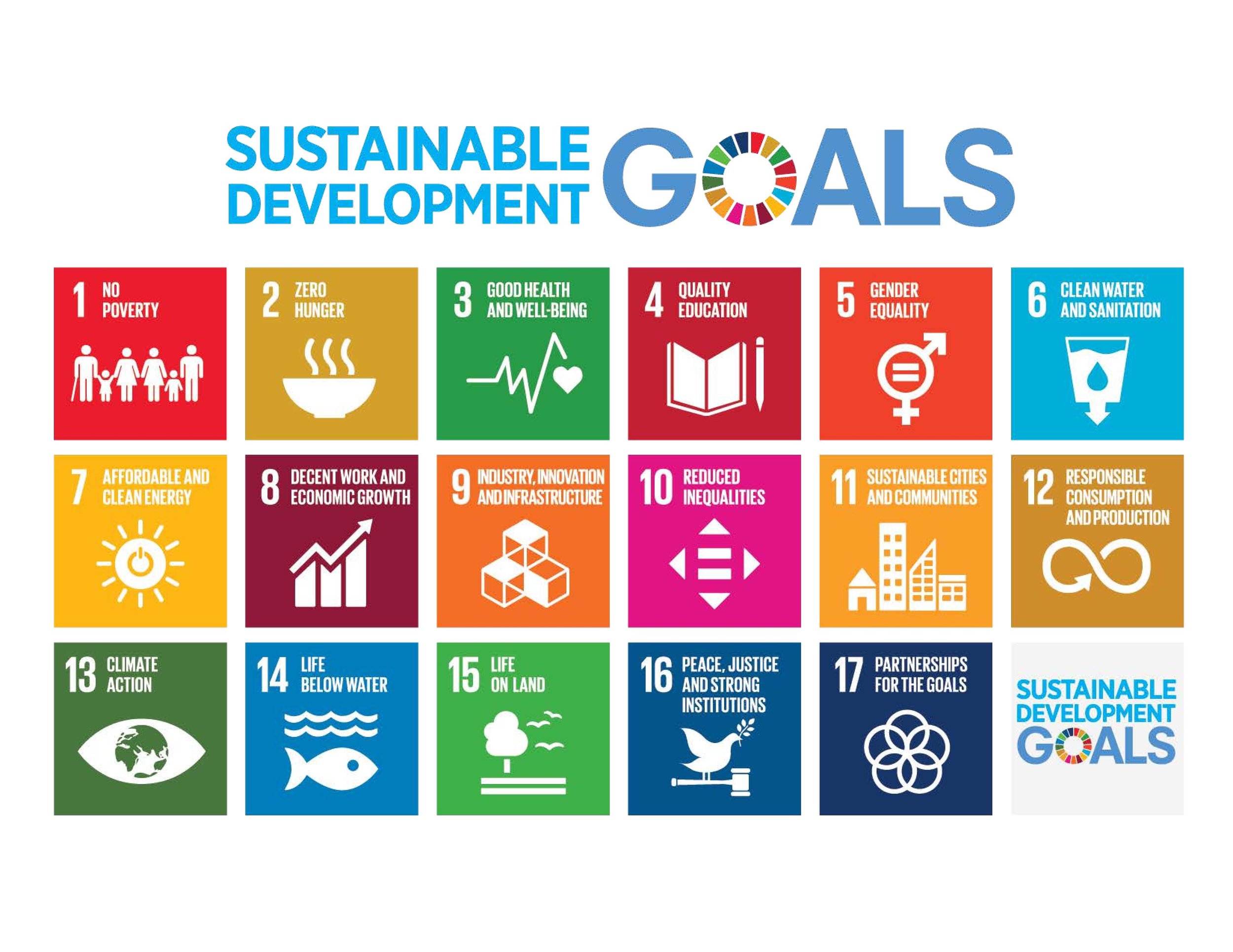 E_2018_SDG_Poster_without_UN_emblem_Letter US-page-001.jpg