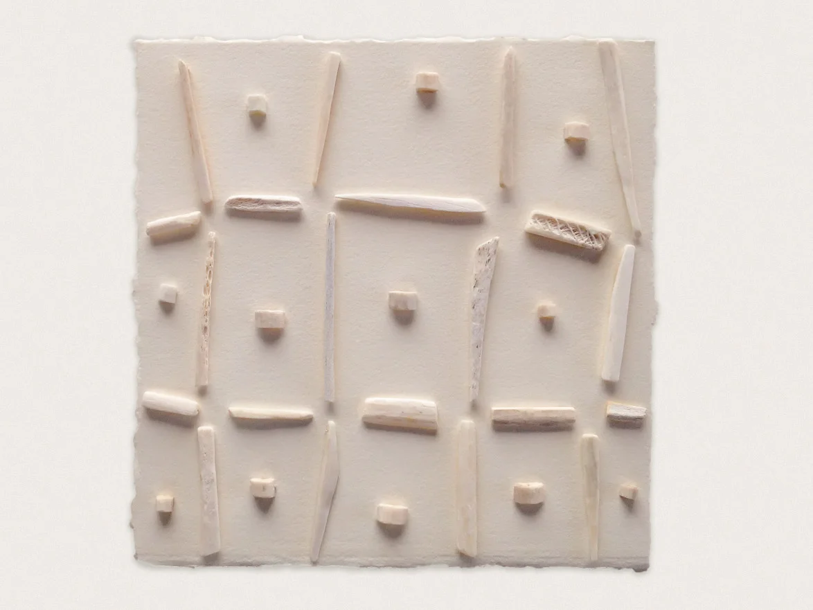 'Bone V' Bone stitched to paper - 20cm x 20cm