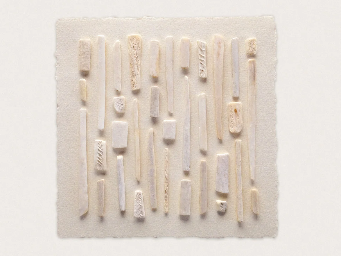 'Bone IV' Bone stitched to paper - 20cm x 20cm