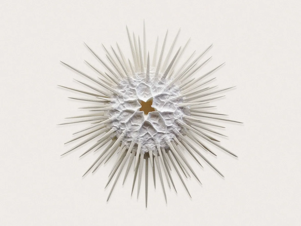 'Urchin I' Handmade and sculpted paper - approx 38cm x 38cm x 7cm