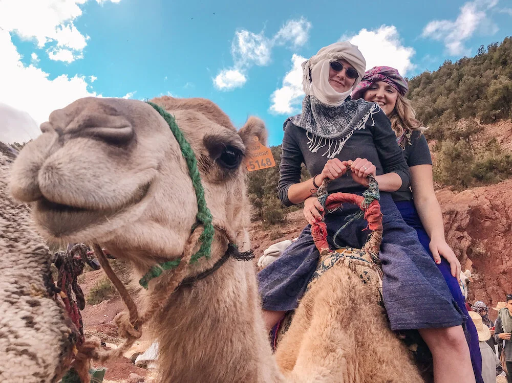 Trip Spotlight: Morocco