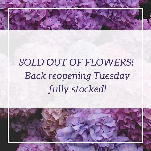 Here till 12 today then taking the rest of the day off! See you tomorrow fully stocked with flowers !