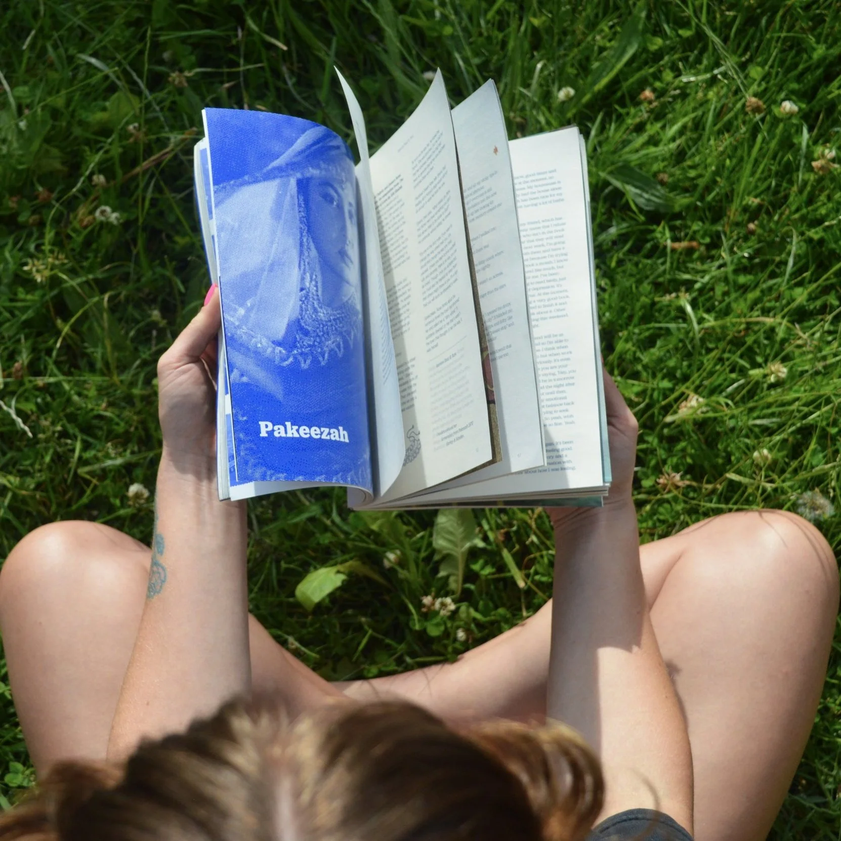 DSC_2006_Edited_MagFlick.jpg