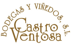 Castro Ventosa