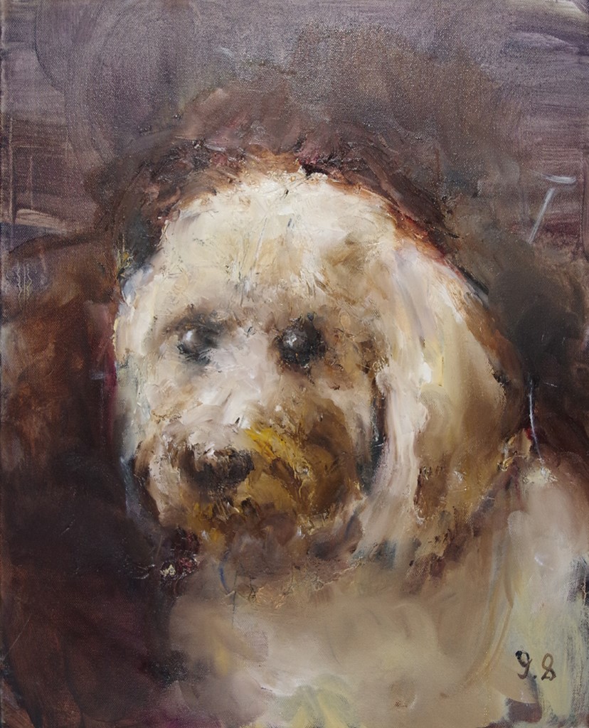 1063_Dog_Portrait.jpg