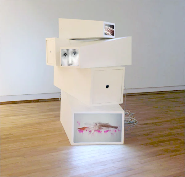boxes4.jpg