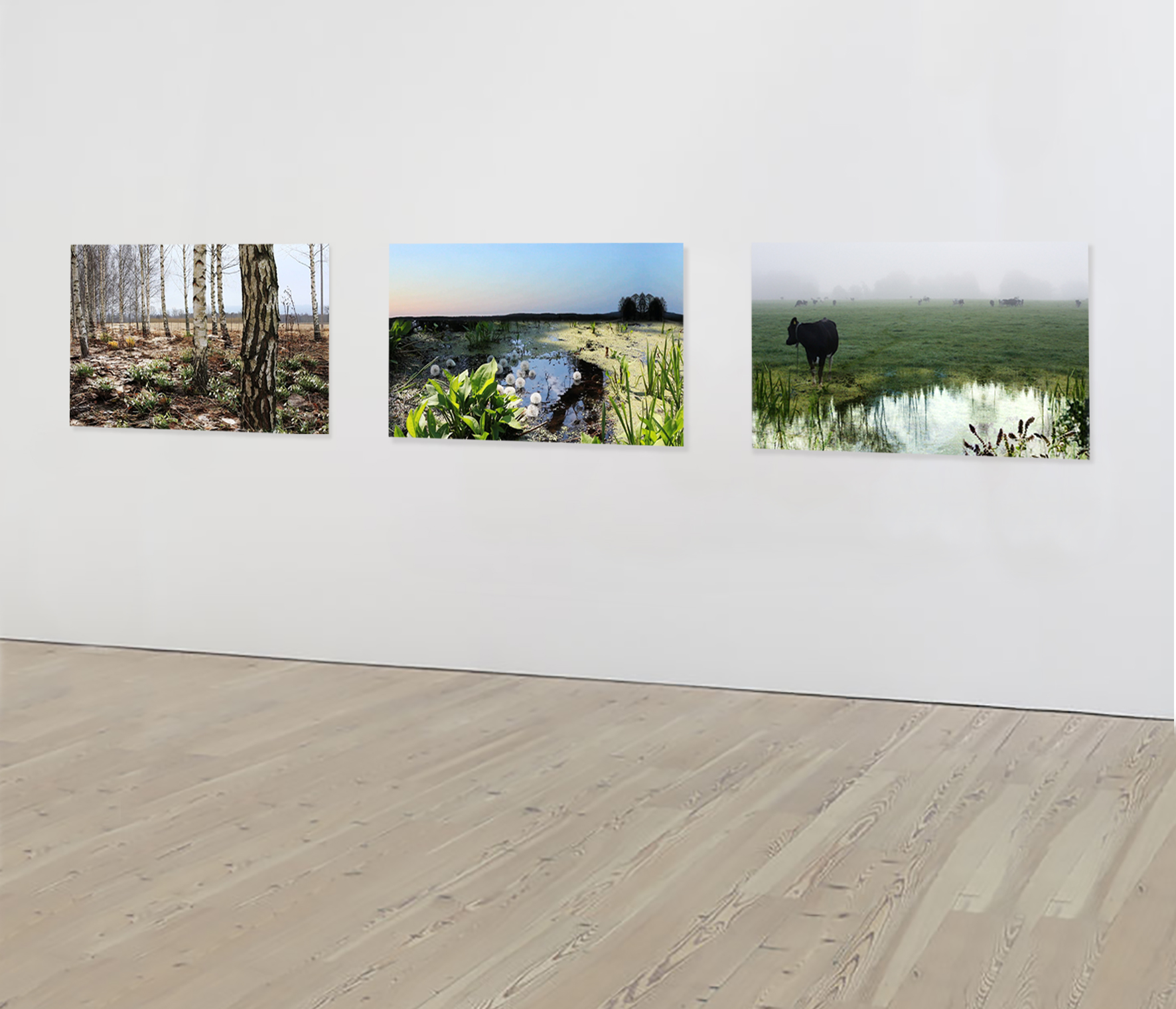 installation Hologram 1-7.jpg