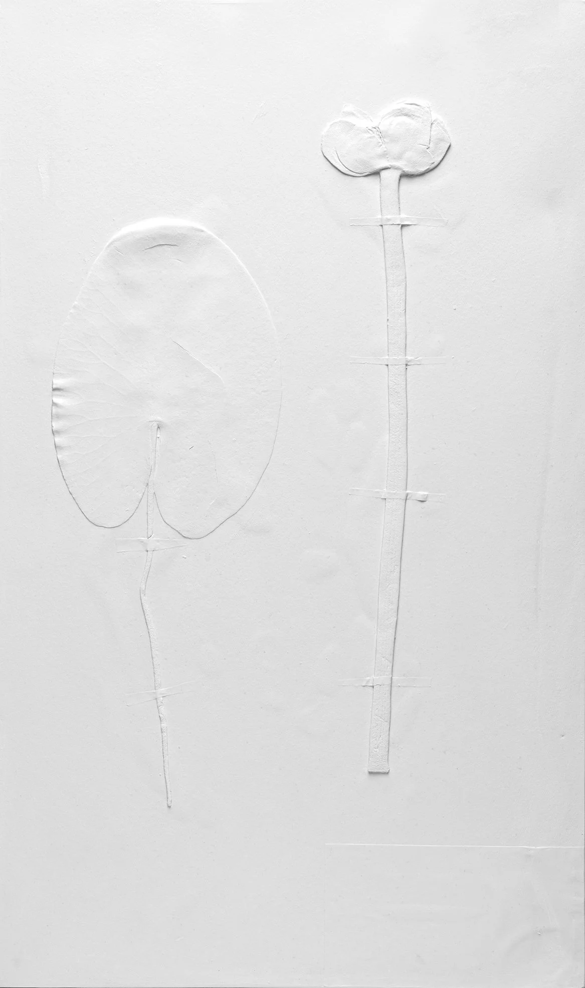 Mold of Ecolonia 22b_CarolinaJonsson.jpg