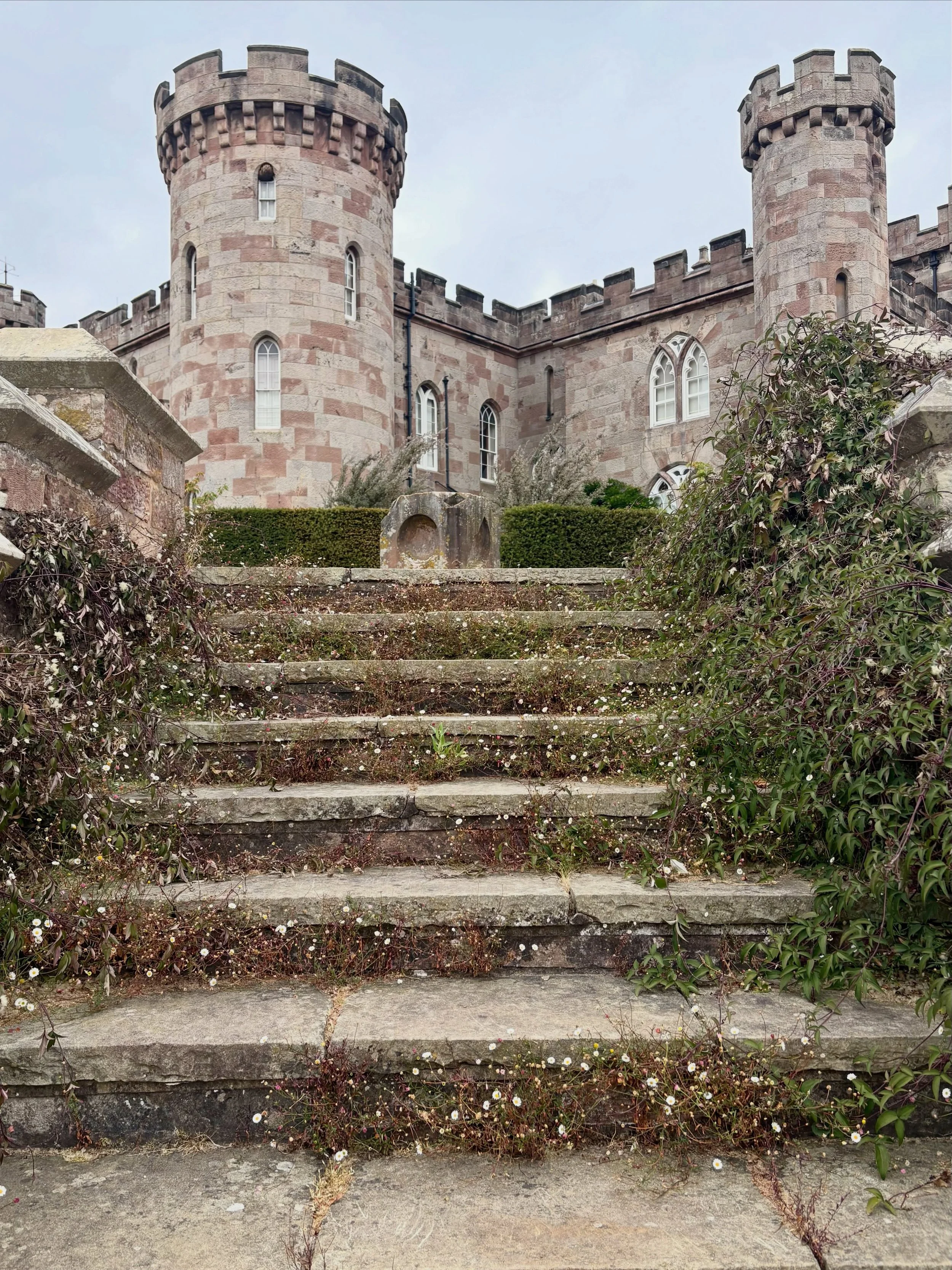 Cholmondeley Castle &amp; lots of fading fleabane growing out of stone.