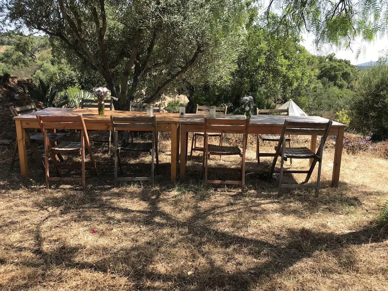 MM Outside table.jpg