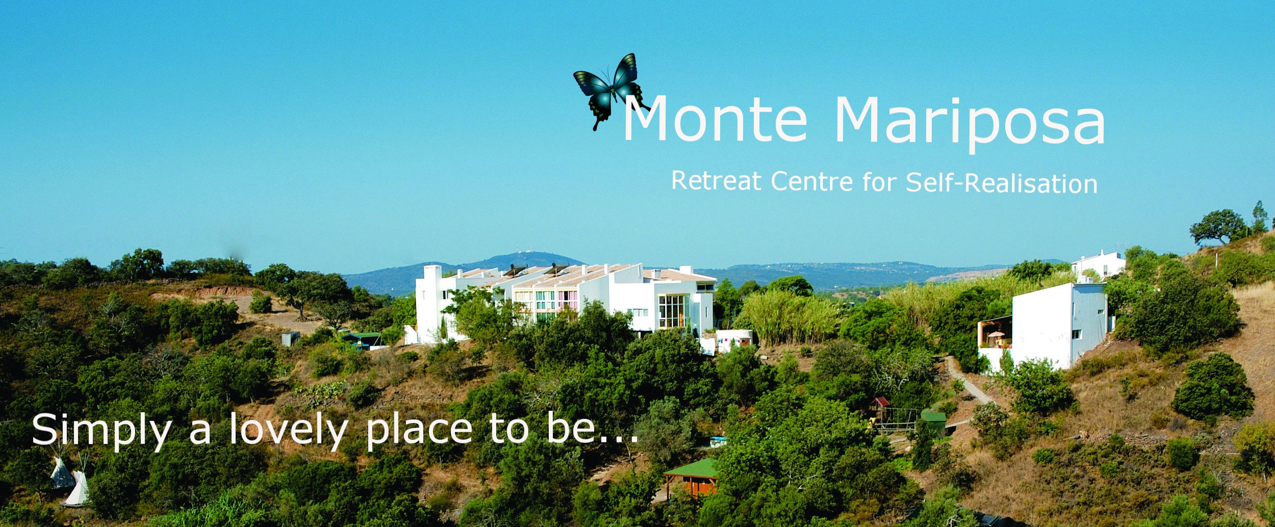 Monte blank banner With Butterfly.jpg