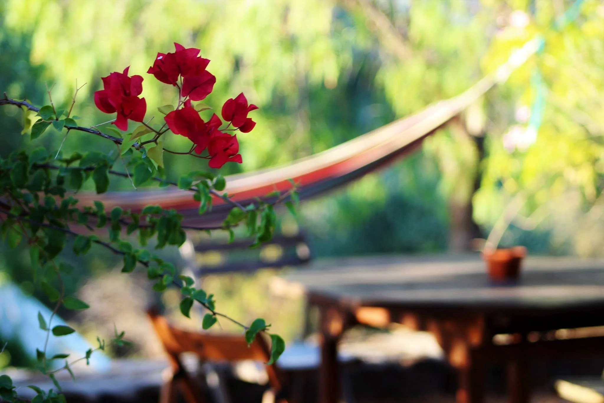 Flower hammock MM.jpg
