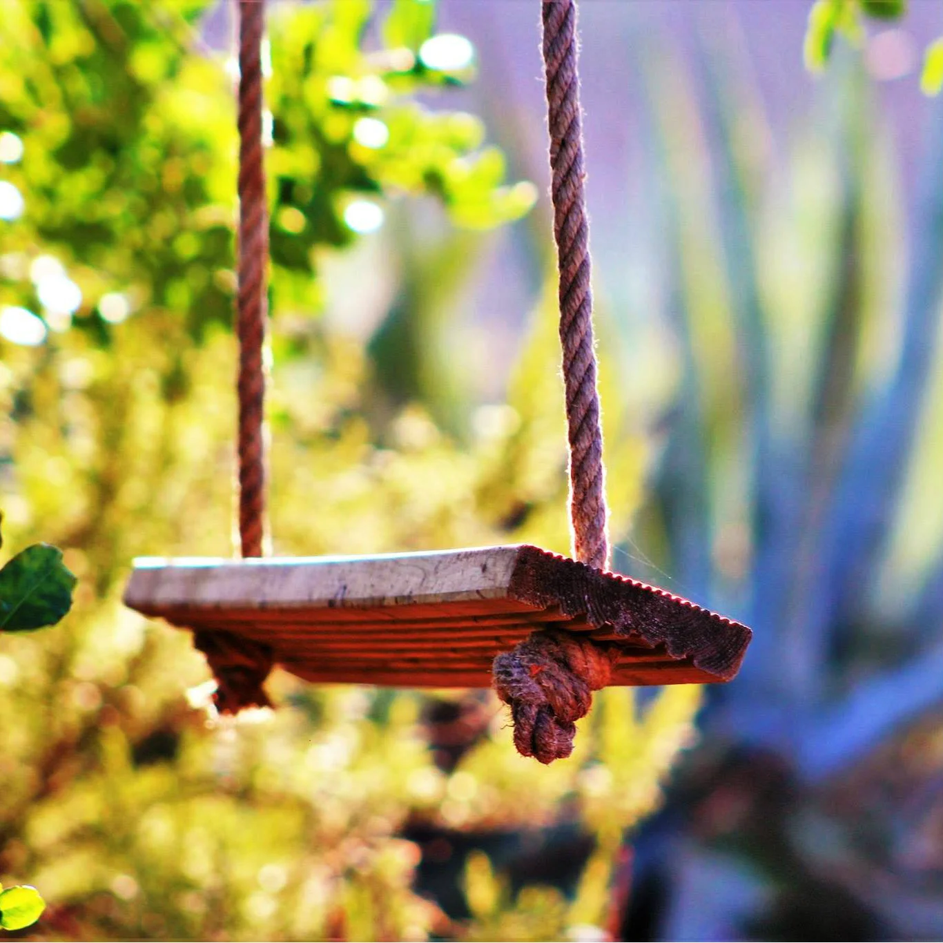 Swing SQAURE MM.jpg