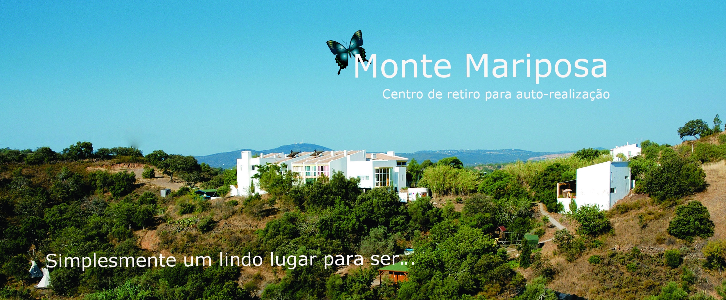 Monte blank banner With Butterfly.jpg