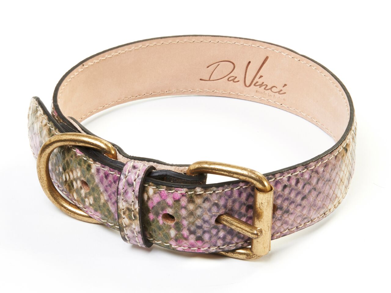 DV2.1.30-DV2.3.65F python collar fuchsia_preview.jpeg