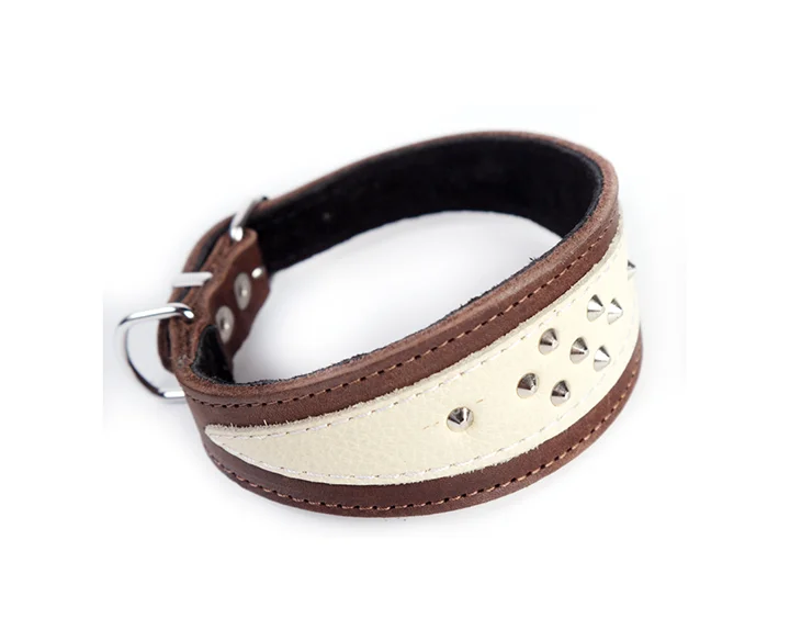 leather greyhound collars