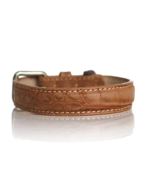 collier-hogan-camel-2.jpg