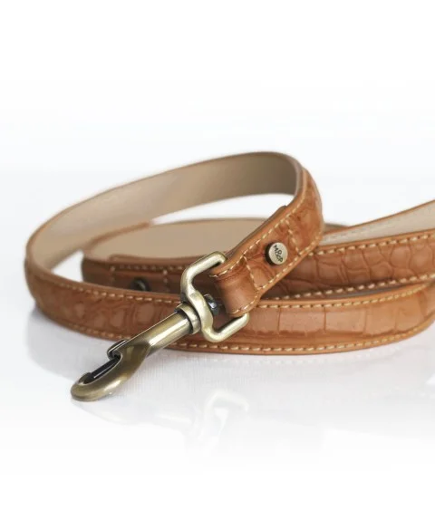 laisse-hogan-camel.jpg