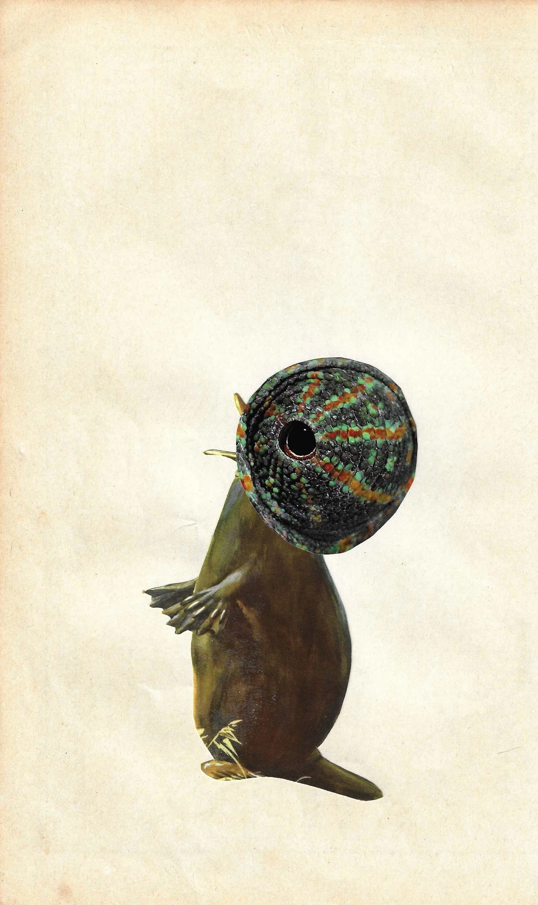 Gegen das Alltagsgrau II - 1/59 *