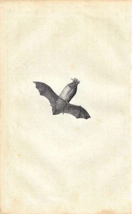 Gegen das Alltagsgrau II - 39/59