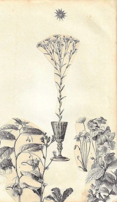 Gegen das Alltagsgrau II - 43/59