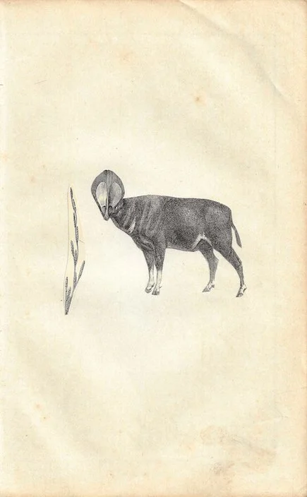 Gegen das Alltagsgrau II - 44/59