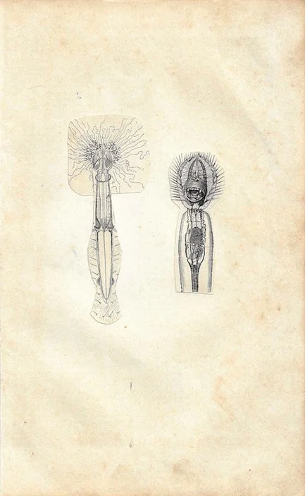 Gegen das Alltagsgrau II - 54/59