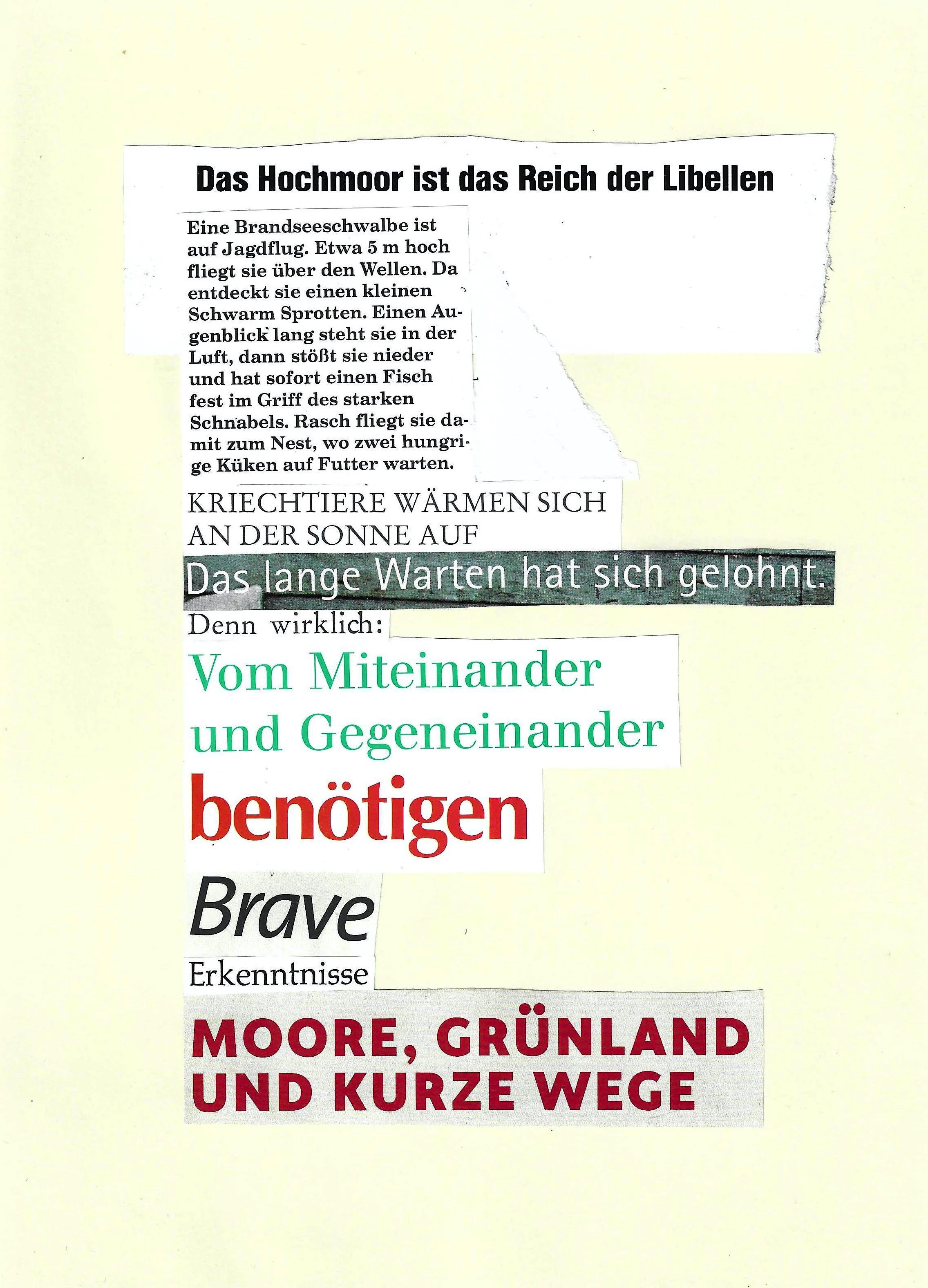 Klebegedicht - 4.6.2025 - Das Hochmoor ist das Reich der Libellen - Scan 300dpi.jpg