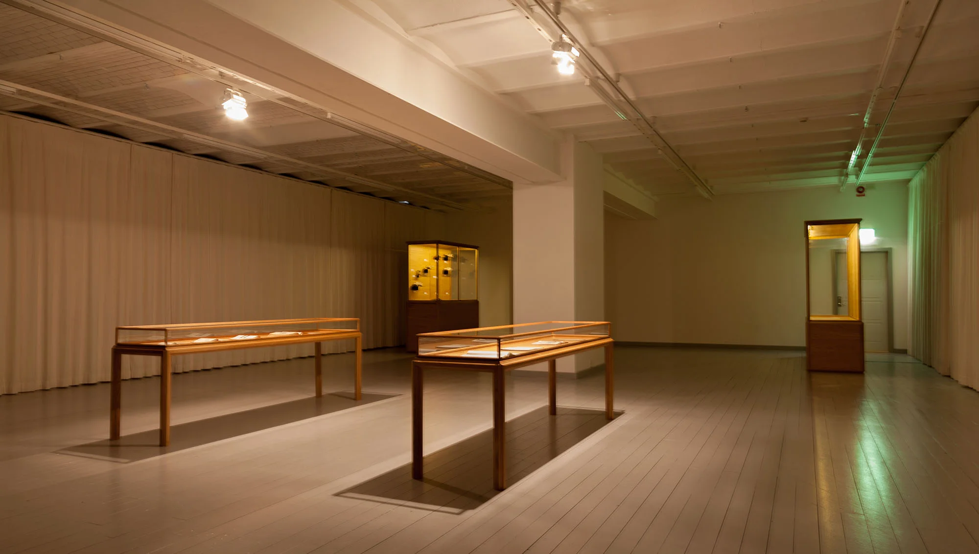 Neomylodon Listai Ameghino - Inter Arts Center - 052 - Small.jpg