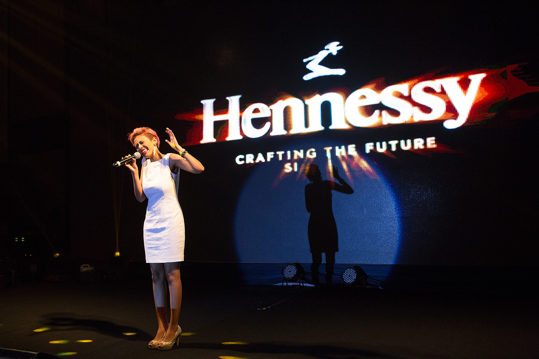 'Hennessy 250th Anniversary Event, Sofitel Phnom Penh