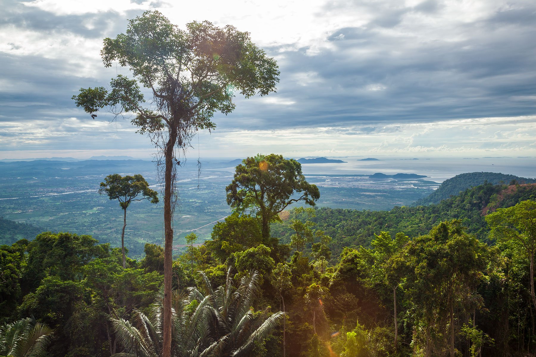 "City in the Clouds" | Bokor Hill (Phnom Bokor)