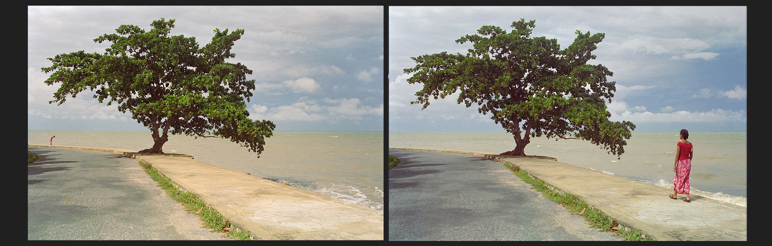 Kep Tree Bend