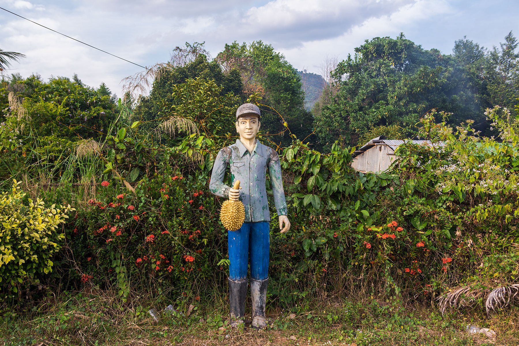 Durian Man