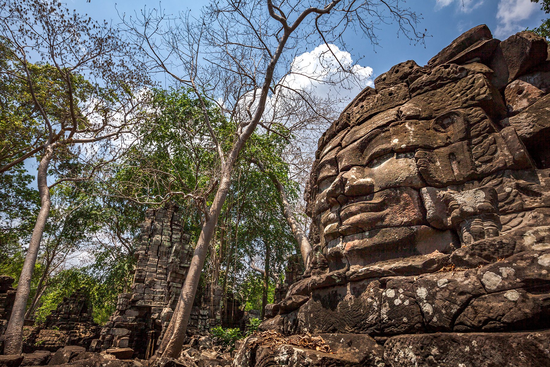 Face on Tower