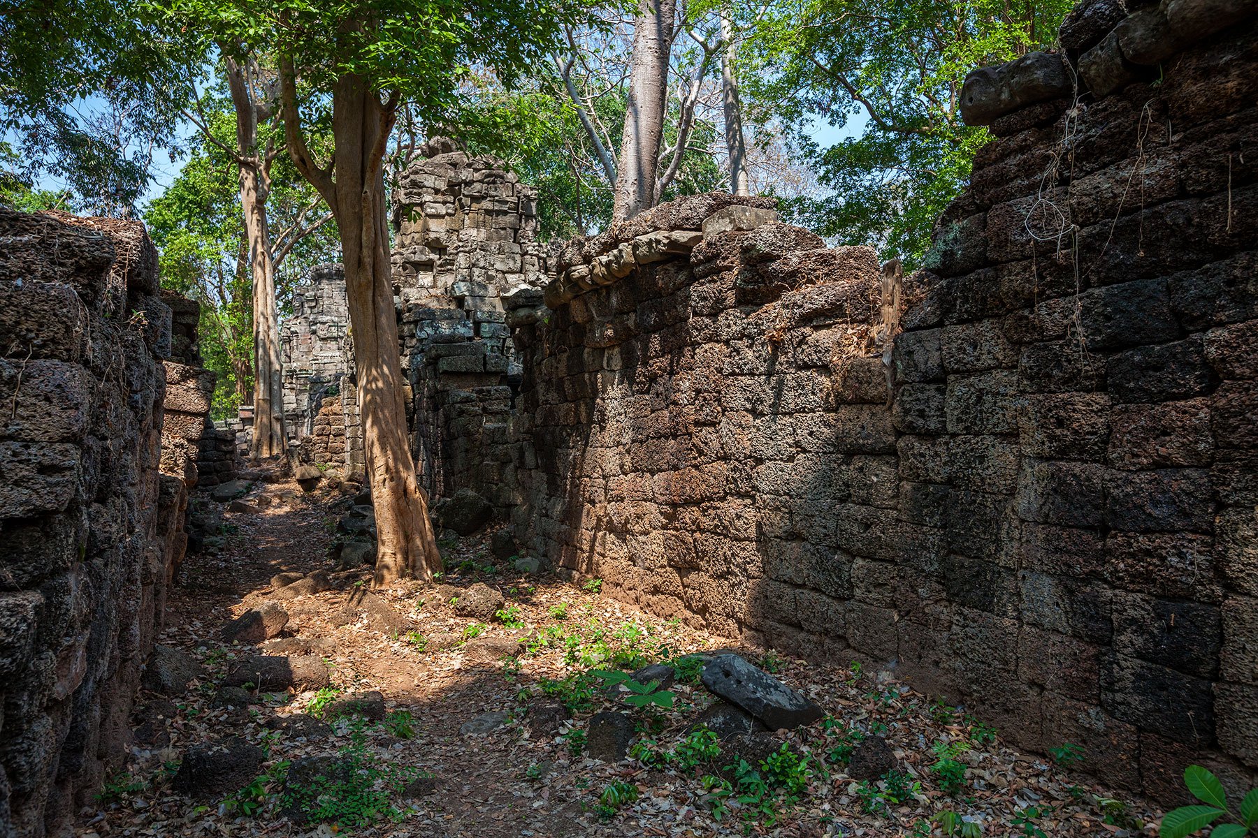 Sandstone Walls