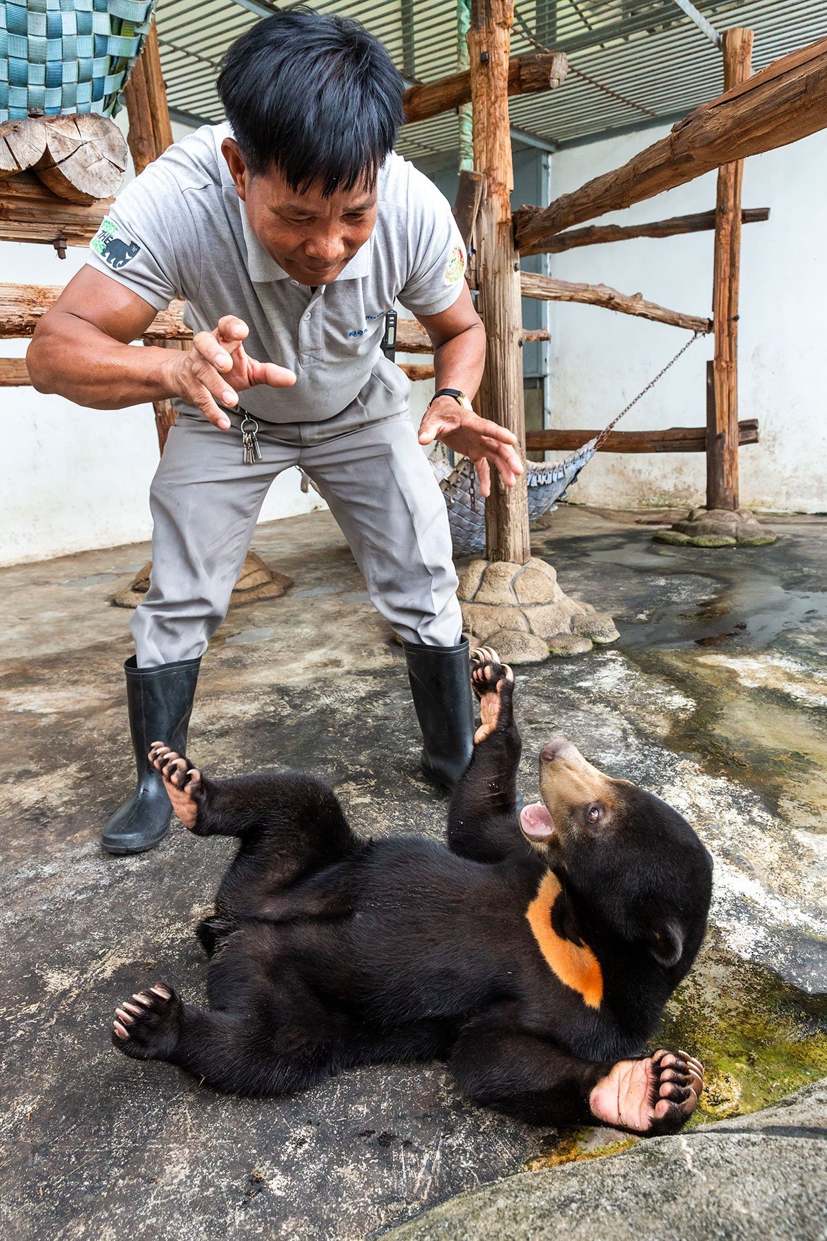 Free the Bears | Laos and Cambodia