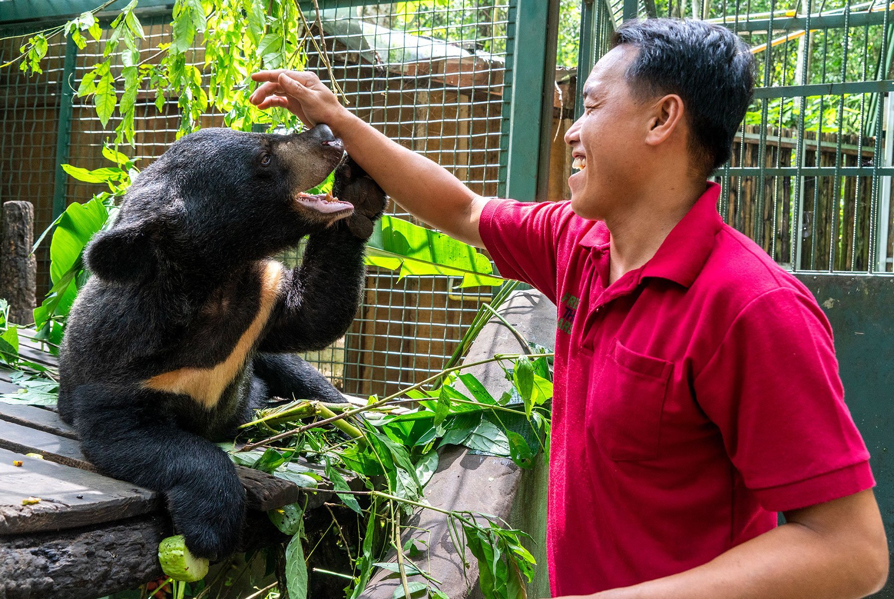 Free the Bears | Laos and Cambodia