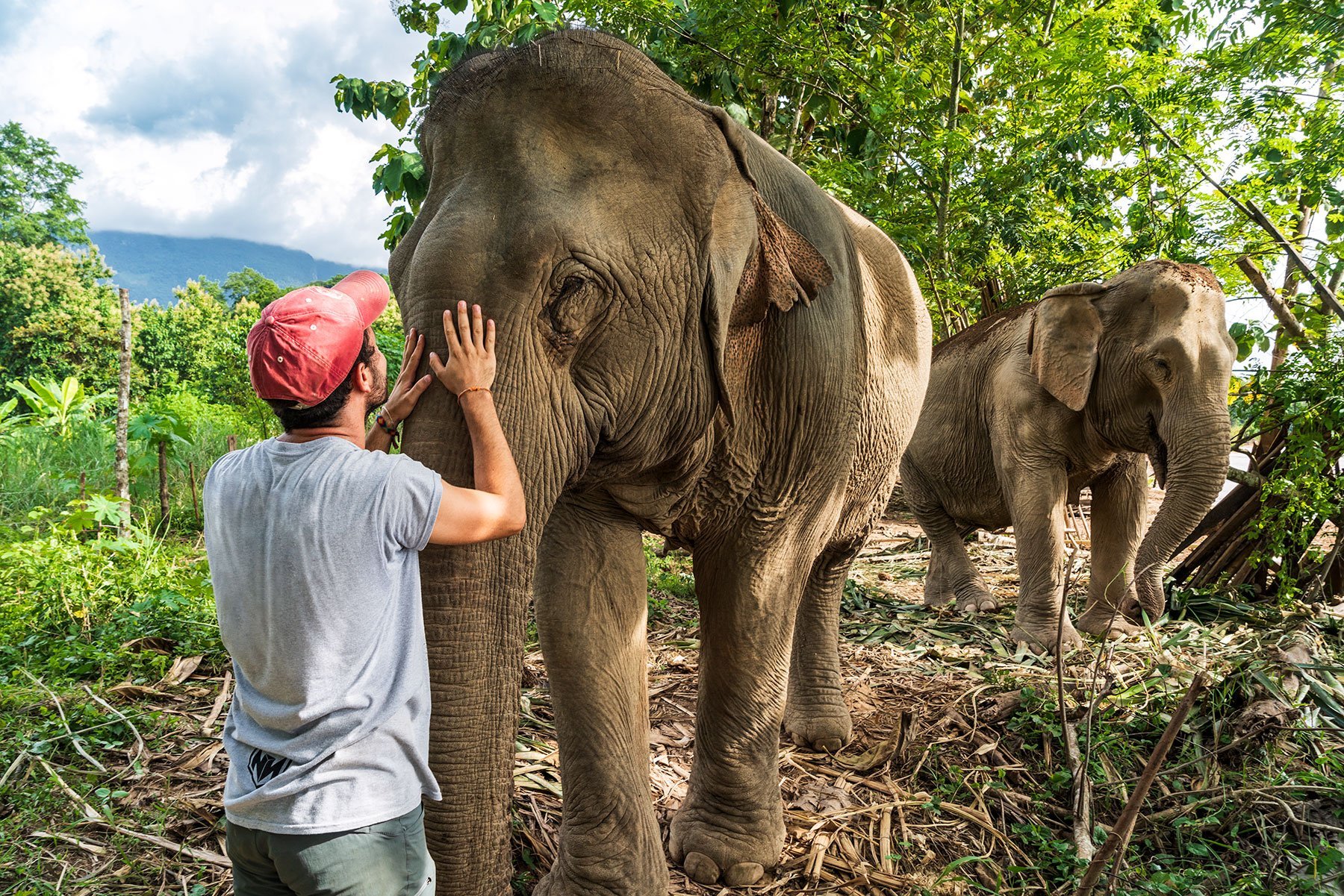 MandaLao Elephant Sanctuary in Luang Prabang, Laos