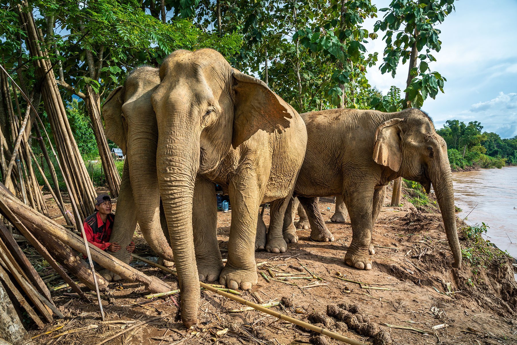 MandaLao Elephant Sanctuary in Luang Prabang, Laos