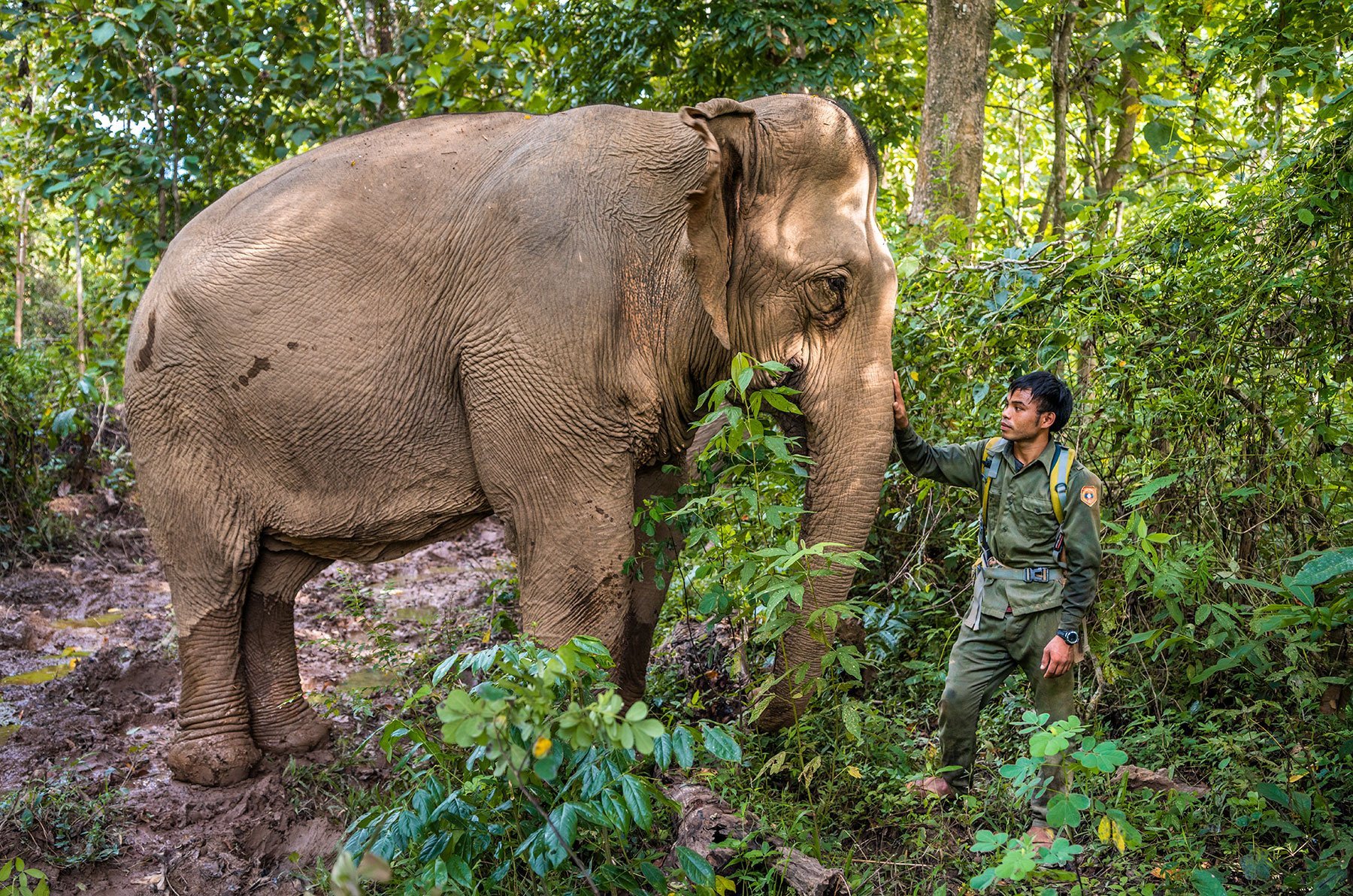 MandaLao Elephant Sanctuary in Luang Prabang, Laos