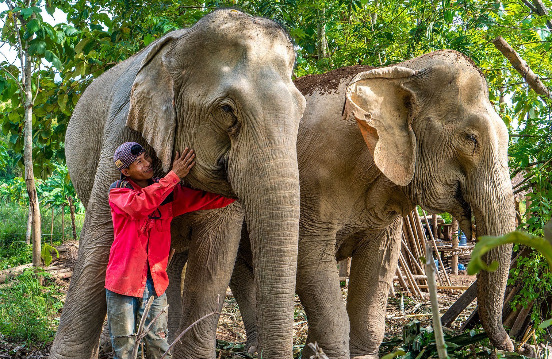 MandaLao Elephant Sanctuary in Luang Prabang, Laos