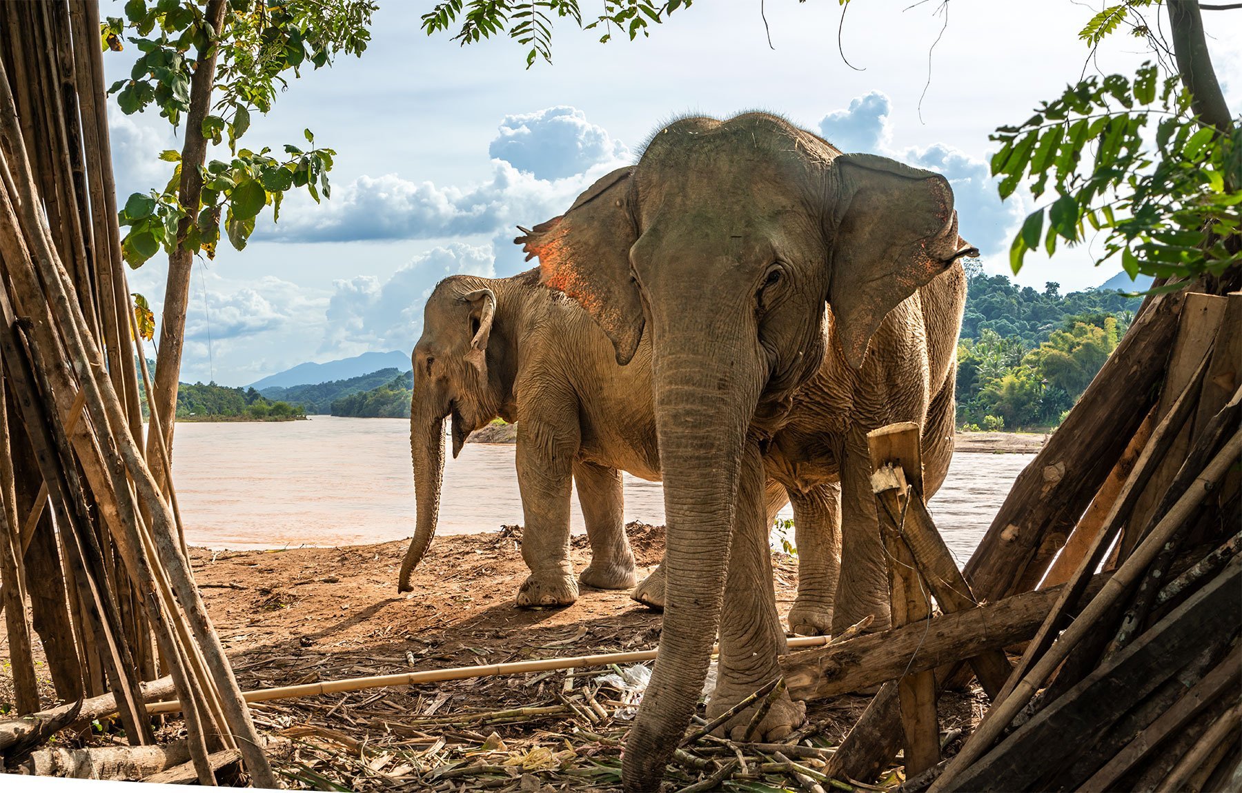 MandaLao Elephant Sanctuary in Luang Prabang, Laos