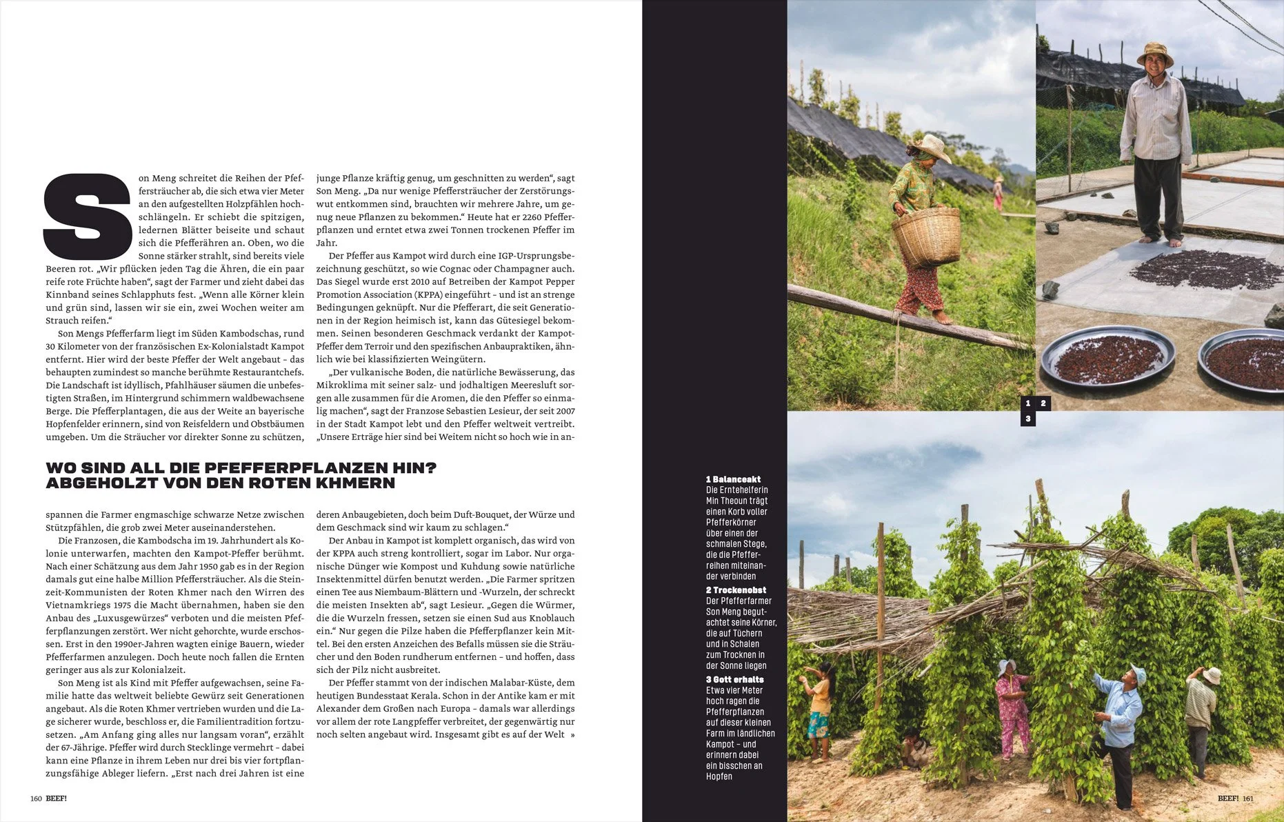 BEEF - Mens Food Magazine Kampot pepper Feature