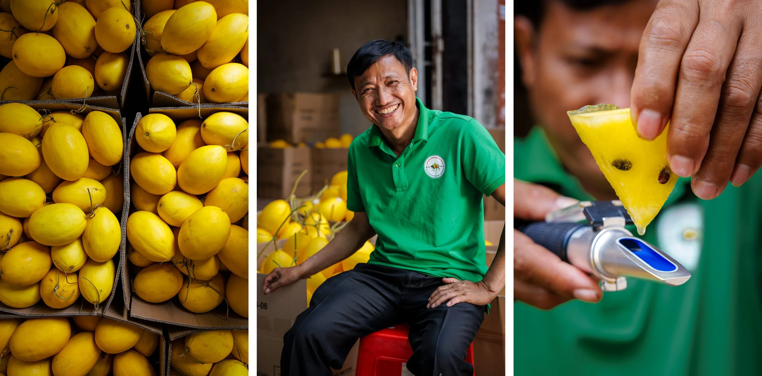 chairman-melon-association-siem-reap-honeydew-melons-refractometer-testing.jpg