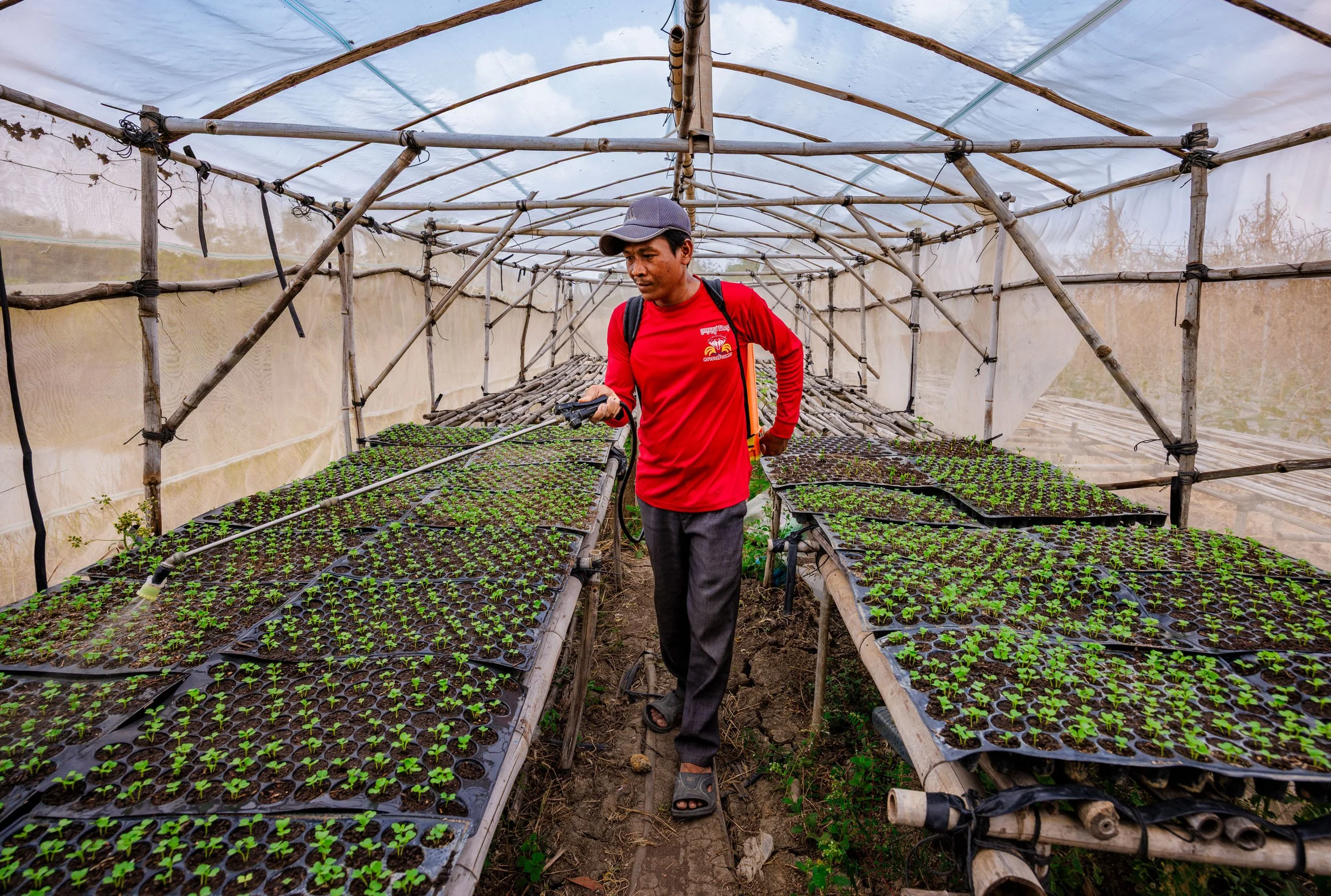  Shelter for Growth — Documenting a smallholder farmer managing seedling trays inside a climate-resilient net house nursery, an integral phase of iDE Cambodia's high-value agriculture value chains. 