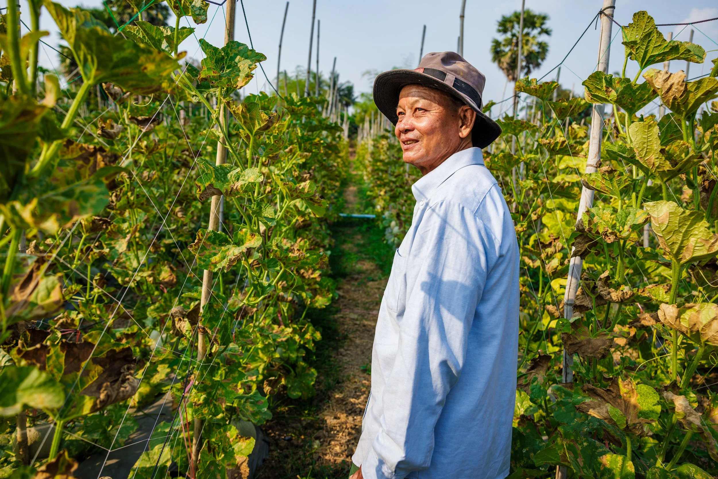  A Legacy of Growth — A portrait of a local farmer standing amidst an iDE-supported melon field, documenting sustainable livelihoods and agricultural transformation in rural Cambodia. 